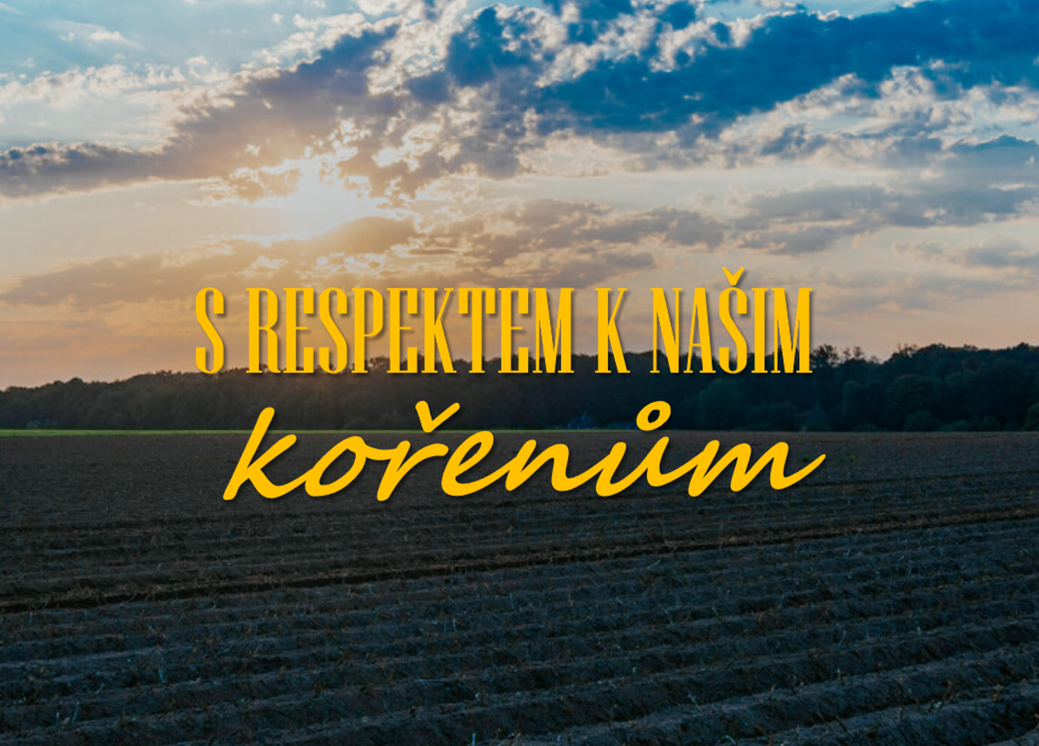 CSR