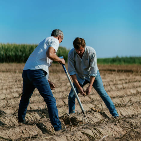 Sustainable Agriculture